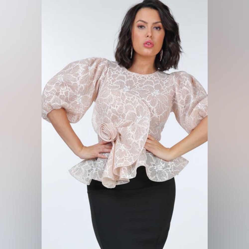 NWOT COby CO Tan and Cream Lace/Sheer Peplum Blouse Size Large